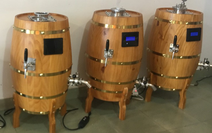 马来西亚DIY汽车工艺啤酒SUS304制造设备来自中国制造商2020 W1