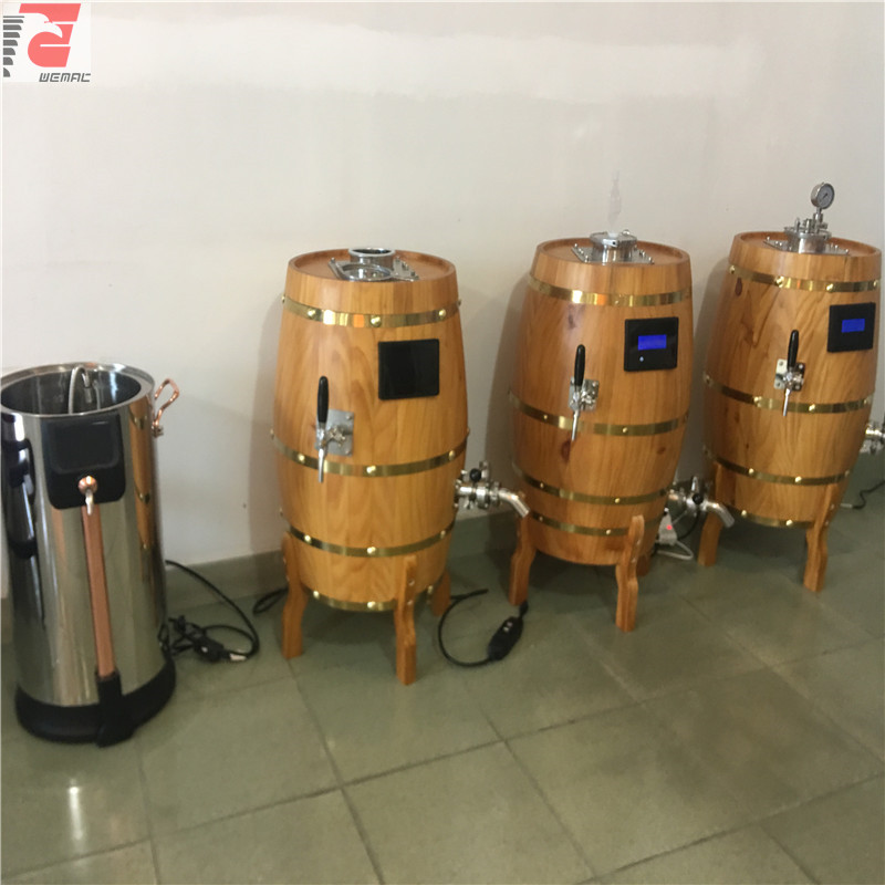 小型啤酒设备销售中国制造商