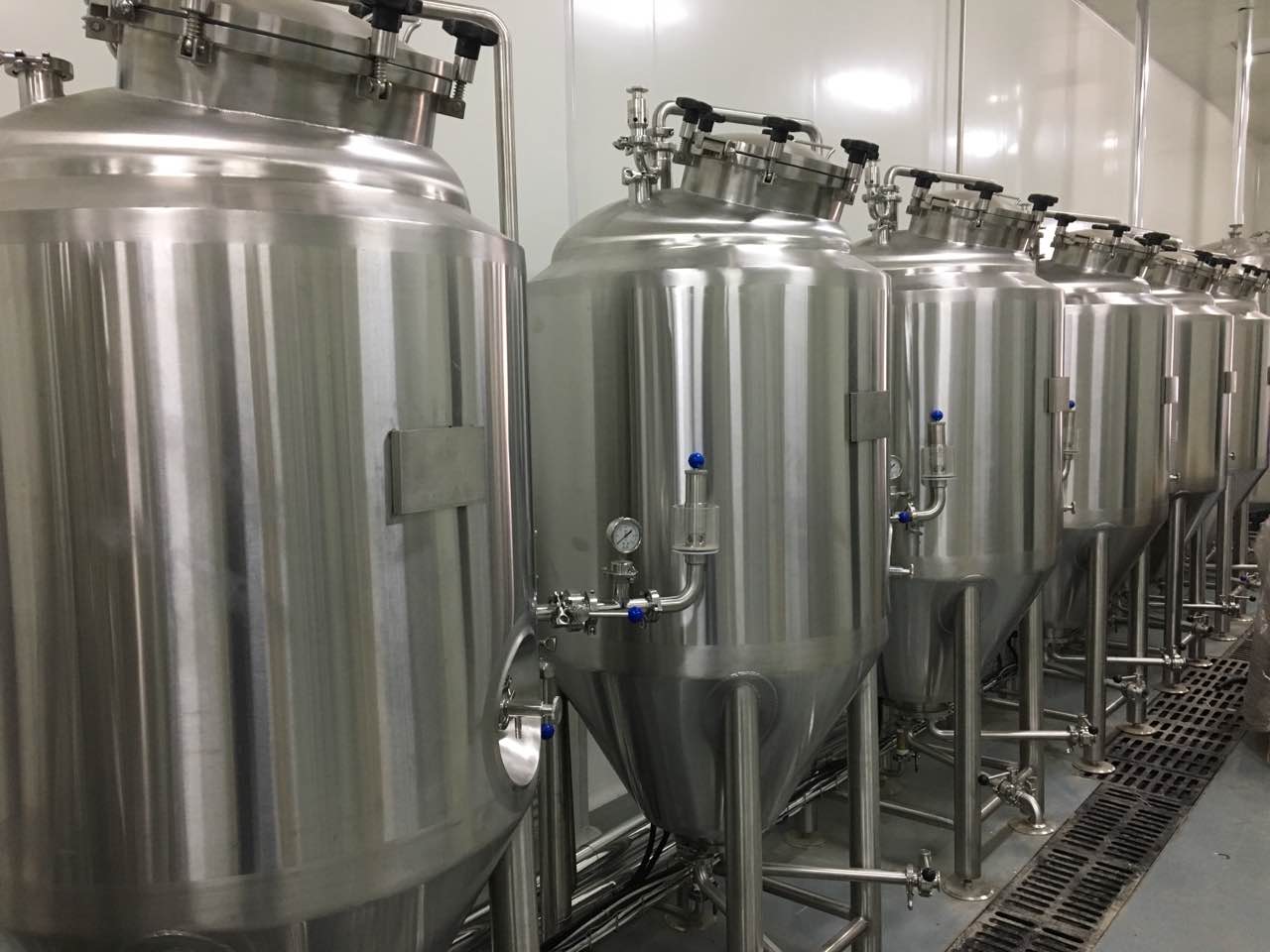 WEMAC 300L啤酒酿造Micro Brewery的发酵饮料设备